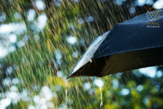 تقرير الطقس في فلسطين حتى نهاية هذا الأسبوع