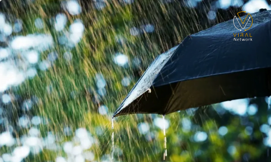 تقرير الطقس في فلسطين حتى نهاية هذا الأسبوع