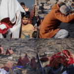 استشهاد عروس رفح بعد زواجها بثلاثة أيام