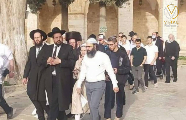 تركيب برج مراقبة واقتحام المستوطنين للمسجد الأقصى في يوم واحد