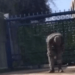 جندي امريكي يحرق نفسه امام السفارة الاسرائيلية