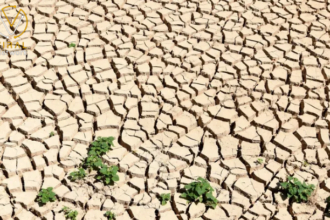 تونس تعلن خطة جديدة لمواجهة أزمة ندرة المياه في البلاد