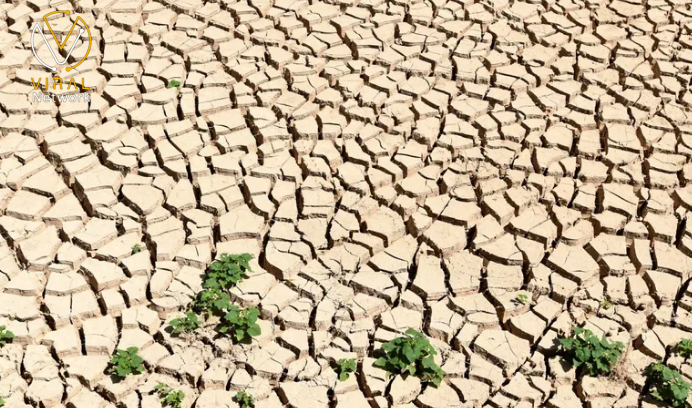 تونس تعلن خطة جديدة لمواجهة أزمة ندرة المياه في البلاد