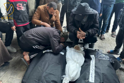 تحليل استنتاجات البحث العلمي حول عدد الشهداء في غزة