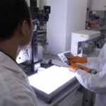 تأثير اضطرابات الجهاز العصبي على الصحة العامة