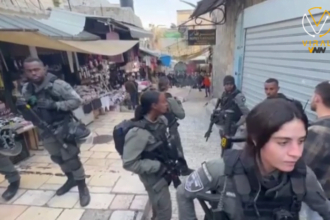 مستوطنون يعتدون على الأهالي في سلوان