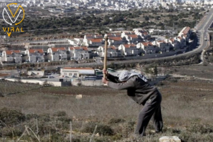 استيلاء الاحتلال على 170 دونمًا من الأراضي الفلسطينية