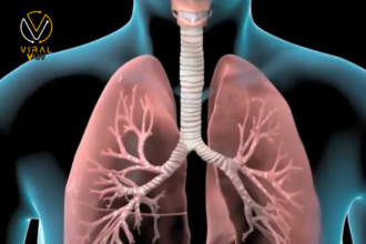 كيفية التعامل مع التهاب الشعب الهوائية الحاد