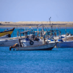 الصومال تطرد السفير الإثيوبي وتتهمه بالتدخل في شؤونها الداخلية