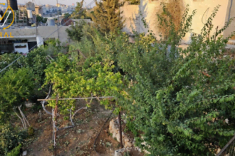 تحذيرات من موجة حر متوقعة في الأيام القادمة