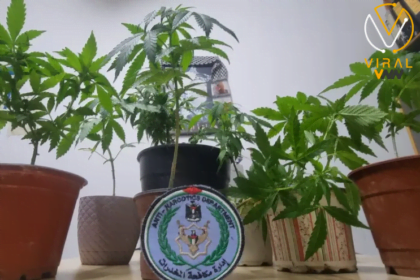 الشرطة تحبط عملية تهريب وتصادر كمية كبيرة من المخدرات