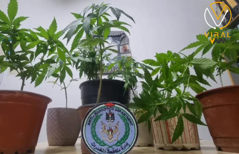 الشرطة تحبط عملية تهريب وتصادر كمية كبيرة من المخدرات