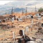 الاحتلال يرفض تسليم جثامين 500 مواطن