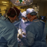 وفاة أول مريض بعد زراعة كلية خنزير