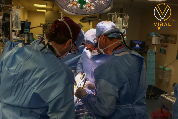 وفاة أول مريض بعد زراعة كلية خنزير