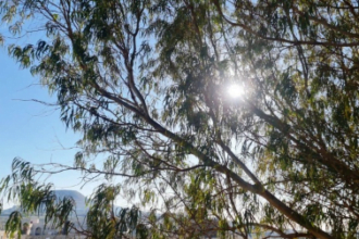 درجات حرارة مرتفعة وأجواء حارة متوقعة