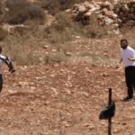 سرقة صهريج مياه من قبل مستوطنين في منطقة الأغوار