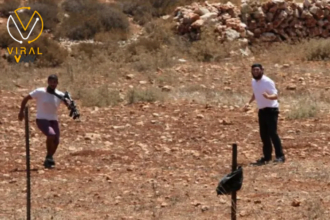 سرقة صهريج مياه من قبل مستوطنين في منطقة الأغوار