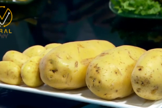 تأثير الشيبس على الذاكرة