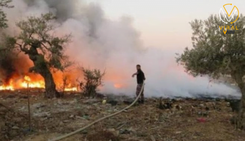 مستوطنون يحرقون أراضي ويتسببون في تدمير مركبات في برقا