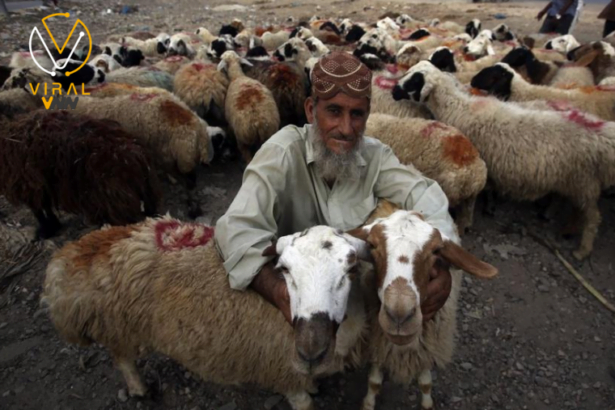 تسع دول تعلن يوم الاثنين كأول أيام عيد الأضحى