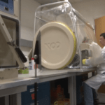 استخدام الفيروسات الآمنة كعلاج مبتكر للسرطان