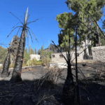 حريق يجتاح أجزاء من حديقة 'بيت الشرق' في القدس