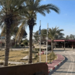 مصر تبدي رغبتها في الانضمام إلى قوة دولية للتهدئة في غزة