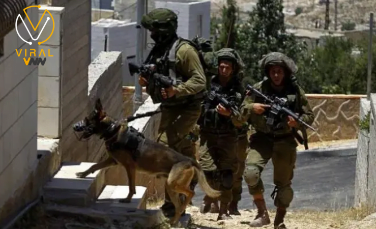 اعتقال الاحتلال لشاب مصاب في مخيم قلنديا