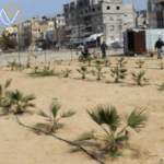 الاحتلال يدمر عشرات الحدائق العامة في رفح