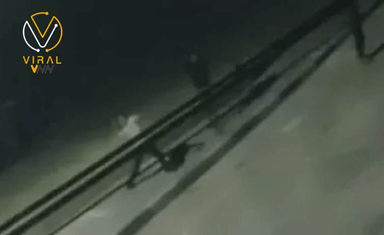 مستوطنون يقتحمون أملاك المواطنين في كفل حارس