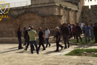 مستوطنون يقتحمون الأقصى