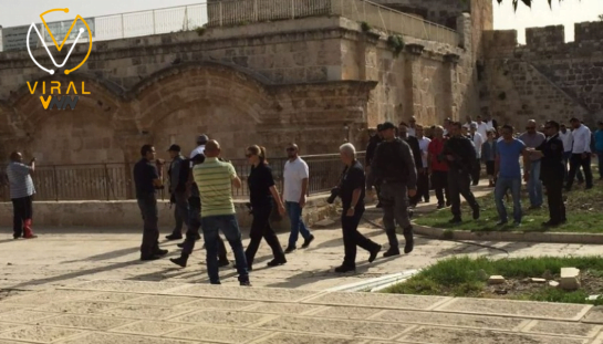 مستوطنون يقتحمون الأقصى