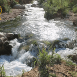 بؤرة استيطانية جديدة قرب العوجا