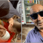 تشييع جنازة الشهيد عايد أبو الهيجا