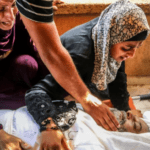 استشهاد فلسطينيين في رفح والنصيرات