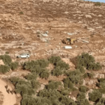 اعتداءات الاحتلال على قاطفي الزيتون في حوسان واعتقال 6