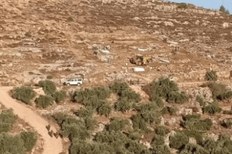 اعتداءات الاحتلال على قاطفي الزيتون في حوسان واعتقال 6