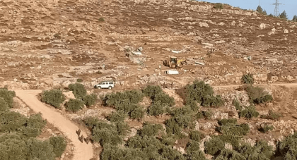 اعتداءات الاحتلال على قاطفي الزيتون في حوسان واعتقال 6