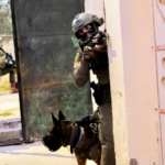 الاحتلال يداهم ويعتقل 12 فلسطيني من الضفة