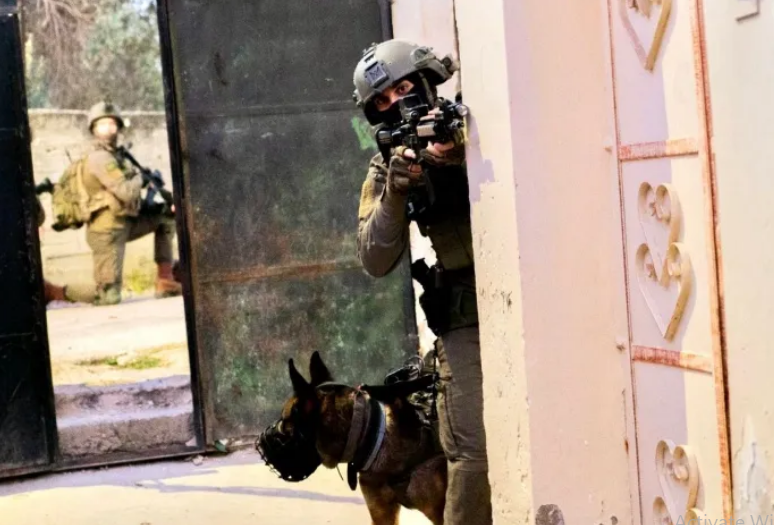 الاحتلال يداهم ويعتقل 12 فلسطيني من الضفة