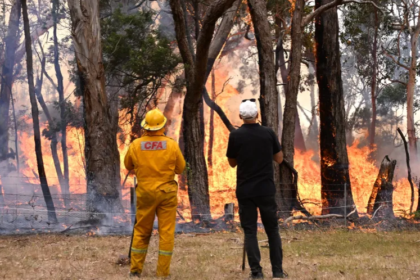 أستراليا في حالة تأهب تحسبا لحرائق غابات وسط موجة حر شديدة