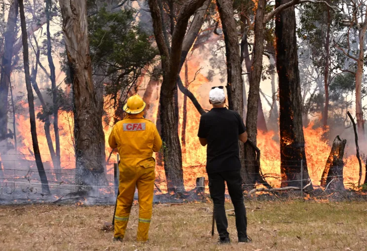 أستراليا في حالة تأهب تحسبا لحرائق غابات وسط موجة حر شديدة