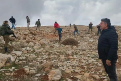 مستوطنون يستولون على أغنام شمال رام الله