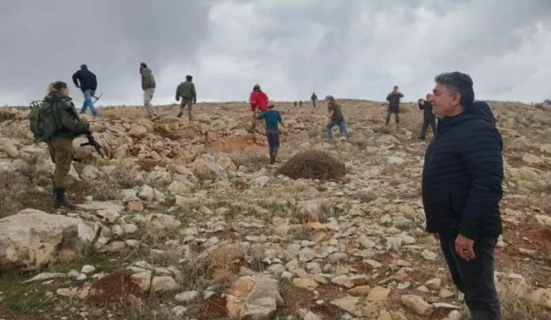 مستوطنون يستولون على أغنام شمال رام الله