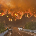 حريق غابات وسط تركيا يودي بحياة 10 ويصيب 14