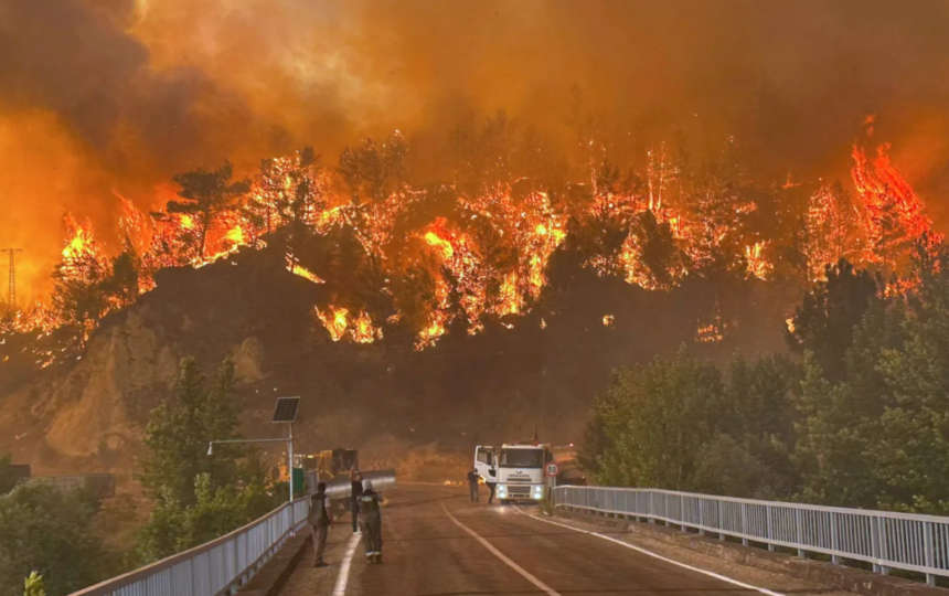 حريق غابات وسط تركيا يودي بحياة 10 ويصيب 14